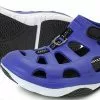 Books, DVDs & Gifts Shimano Evair Shoe Poison Blue -Shimano Sales Store P1743