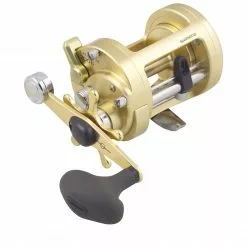 Overhead Reels Shimano Calcutta 700 B Baitcast Fishing Reel
