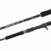 Spinning Rods Shimano Anthem SW Heavy Spinning Fishing Rod -Shimano Sales Store ShimanoAnthemSpin