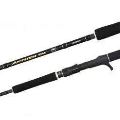 Spinning Rods Shimano Anthem SW Heavy Spinning Fishing Rod