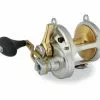 Overhead Reels Shimano Talica 20 Two Speed Overhead Fishing Reel -Shimano Sales Store Shimano talica 20 2019